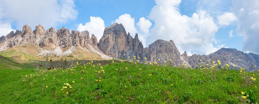 panorama landscape Cirspitzen, dolomites alps. meadow with yellow  pasque flowers.