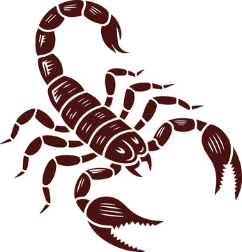 Scorpion Silhouette Illustration Vector Design