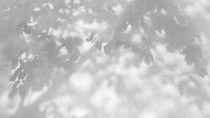 Naklejka premium The monochrome texture of shadows from tree branches and leaves on the wall serves as an artistic background for meditation and interior design.