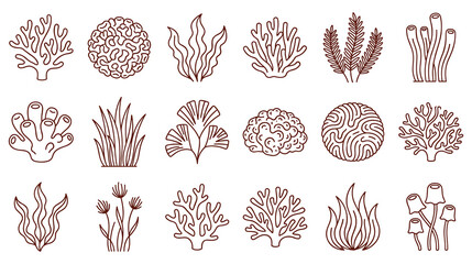 Collection of underwater coral reef plants and marine ecosystem elements. © NAZMA
