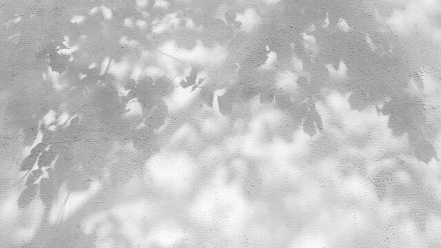 The monochrome texture of shadows from tree branches and leaves on the wall serves as an artistic background for meditation and interior design.