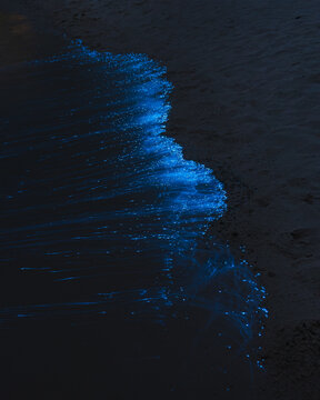 Bioluminescence in the ocean at night in Maldives, glowing blue phytoplankton waves on a dark beach, magical natural phenomenon.