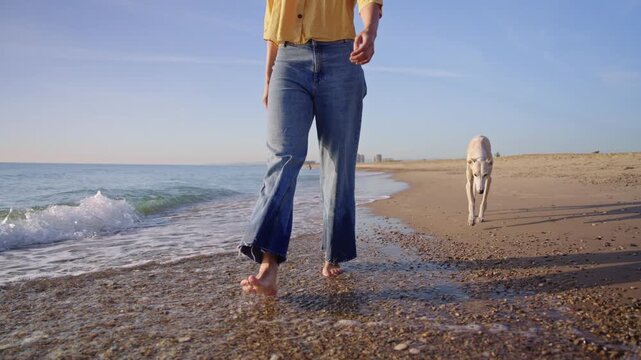 Slow motion tracking shot starting with close-up of bare feet walking in the water and revealing a woman walking along the beach with her dog. Relaxed summer lifestyle by the sea.
