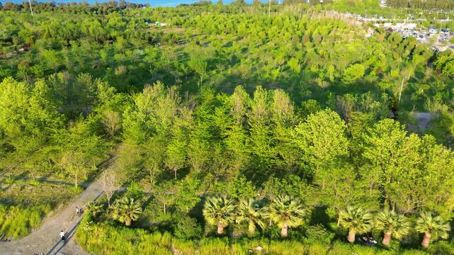 Scenic aerial view of a lush green park with a distant city skyline and ocean