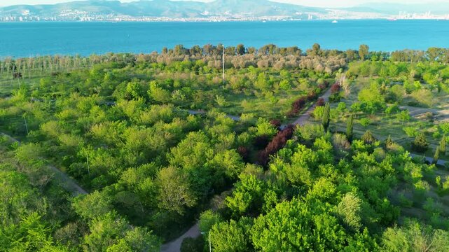Aerial view of a lush green park with a distant city skyline and blue ocean