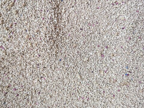 Cat Litter Granules Close Up Overhead Photo Texture Background Fine Gravel Sand Surface Pet Care Hygiene Material Detail Macro Shot