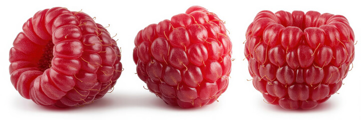 Three fresh ripe red raspberries arranged in a row isolated on a white background