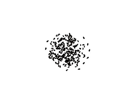 Nigella sativa or black cumin dried seeds isolated on a white background