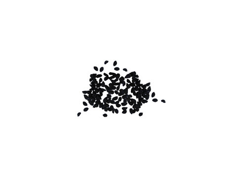 Nigella sativa or black cumin dried seeds isolated on a white background