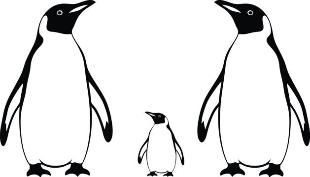 Black and white vector illustration of a penguin family featuring two adult emperor penguins and one small chick isolated on a clean white background.