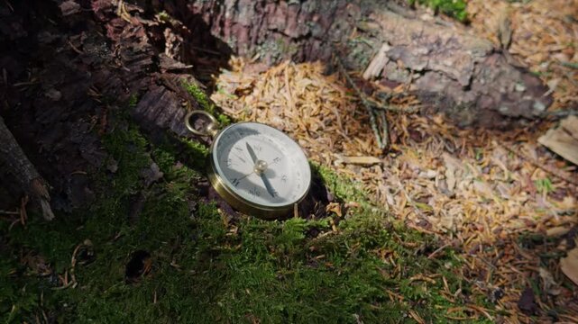 Compass In Forest Resting On Moss Covered Roots And Pine Needles Ground Sunlight Rays Illuminate Needle Showing Direction Travel Navigation Adventure Nature 4K