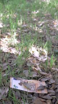 Vertical: A 50 euro banknote lies on the ground in a park, abandoned and unnoticed. The scene suggests loss, chance, and unexpected situations in everyday urban life.