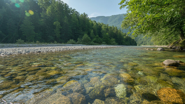 Clear river with visible rocks underwater, surrounded by lush green forests on both banks, under bright blue sky, creating peaceful natural landscape.