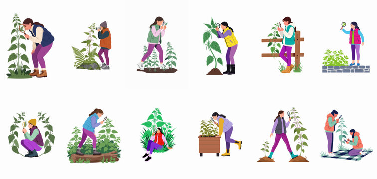 Vector illustration collection of young women and girls studying, observing, and photographing stinging nettle plants in various outdoor nature settings.