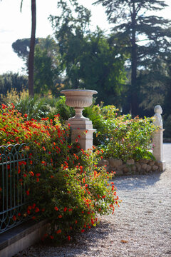 Ornate stone garden vase surrounded by lush green plants and flowers in a Roman park.