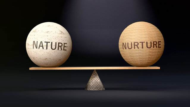Nurture and nature in balance - balancing stones on a scale symbolizing harmony, equity and equilibrium between nature and nurture. Harmonious and beneficial situation. ,3d illustration