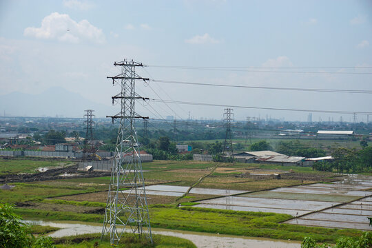 An industrial high-voltage transmission tower seen behind lush green trees and power lines, representing the intersection of technology and nature.
