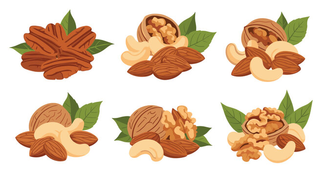 Various clusters of healthy nuts including walnuts, almonds, cashews, and pecans with green leaves on white background.