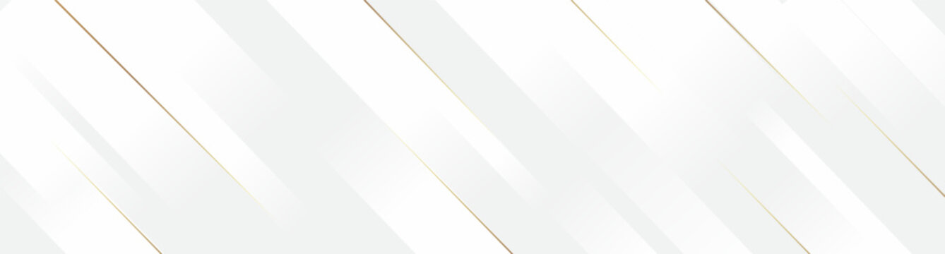 Abstract modern white banner background paper cut style. Realistic luxury paper cut style 3d modern concept.