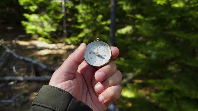 Man Hiking In Forest Holding Compass In Sunlight Concept Of Freedom Personal Journey Finding Direction Adventure Travel Active Lifestyle Wilderness Nature Scene 4K