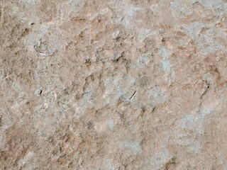 Obraz premium Macro shot of natural weathered stone surface, geological background.