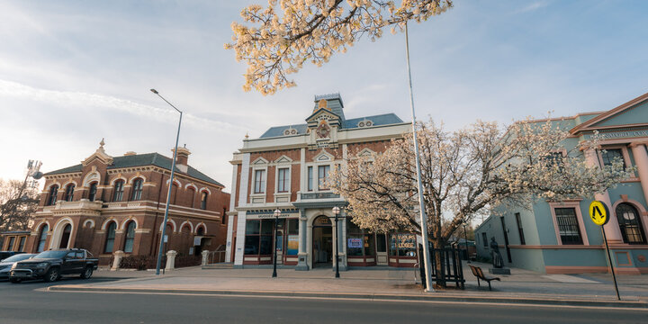 Historic town buildings and library with springtime blossoms