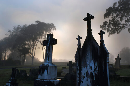 graveyard headstone crosses at dawn with fog and gumtrees setting sad scene