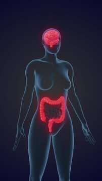 Irritable Bowel Syndrome Triggered by Prolonged Emotional and Mental Stress