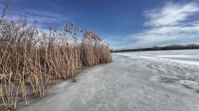 Frozen Lake with Reeds Under Dramatic Patterned Winter Sky