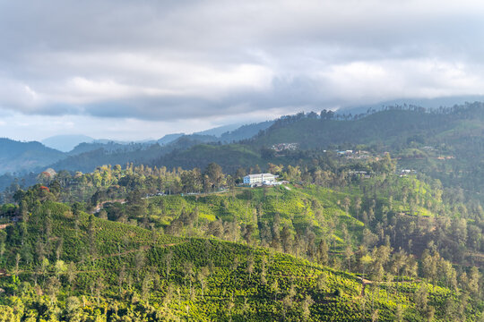 Tea Factory and Tea Plantations in Ella, Sri Lanka