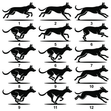 Dog running animation cycle sequence silhouette set showing canine movement for animation.