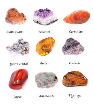 Collection of polished gemstone and mineral samples labeled on white card,  showcasing varied colors and textures ,isolated on white background