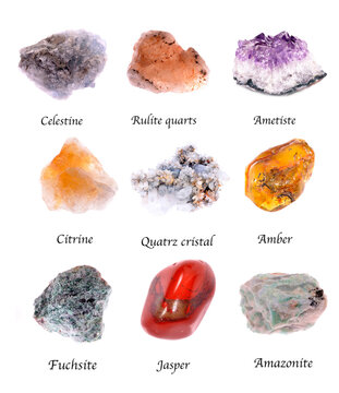 Collection of polished gemstone and mineral samples labeled on white card,  showcasing varied colors and textures ,isolated on white background