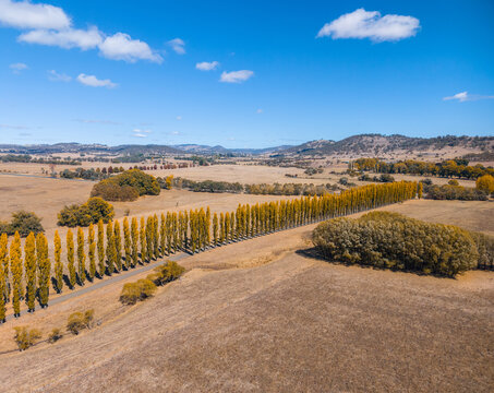 Aerial view of New England Autumn Colour