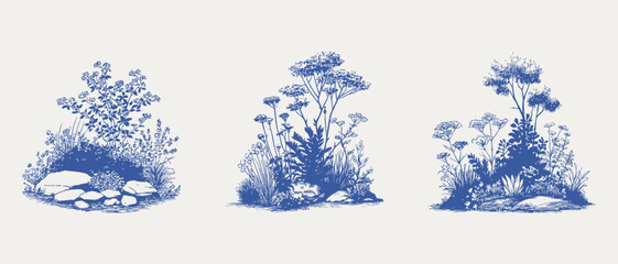 Naklejka premium Botanical garden plants rocks sketch set. Illustrations for landscape design and decorative background use, hand drawn pencil style with dense textured linework and natural detailing.