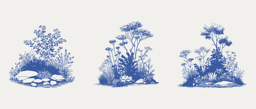 Botanical garden plants rocks sketch set. Illustrations for landscape design and decorative background use, hand drawn pencil style with dense textured linework and natural detailing.
