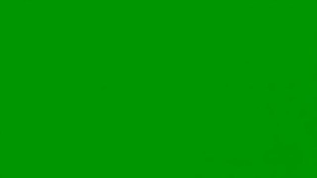 Vibrant Green Field: A minimalist composition showcasing a vibrant green backdrop that fills the entire frame.