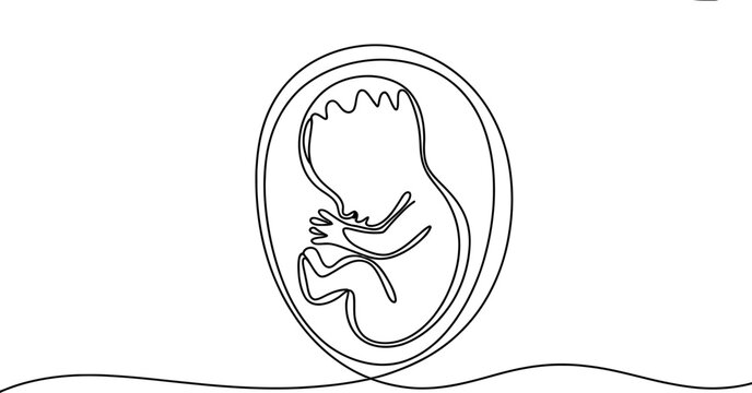 Continuous single line drawing of a human fetus inside the womb representing pregnancy and new life