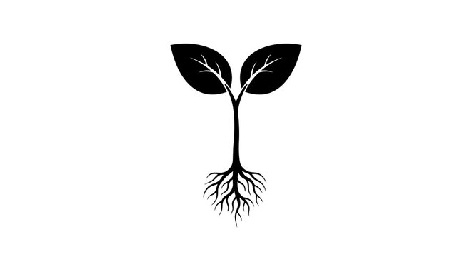 Black and white plant sprout illustration.