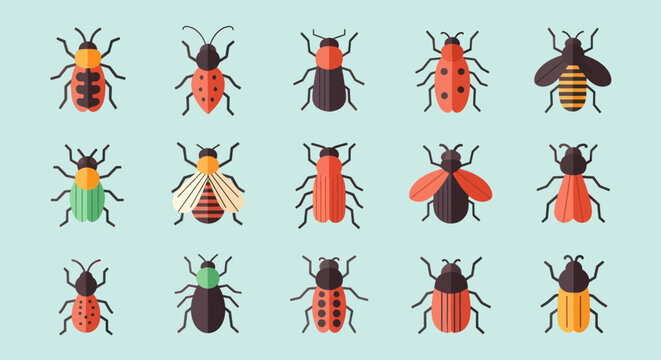 Colorful insect collection vector illustration
