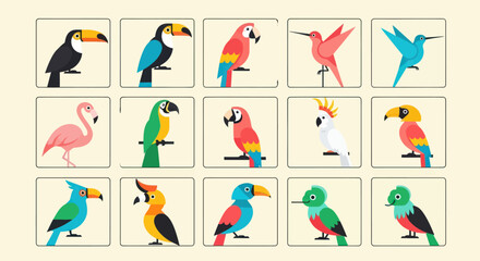 Naklejka premium Colorful vector bird illustrations set