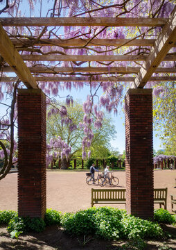 Nordpark in D&uuml;sseldorf