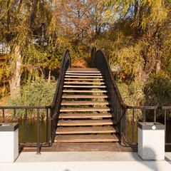 Obraz premium Wooden footbridge with stairs over water in an autumn park with golden trees