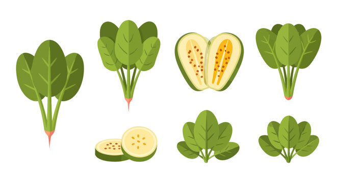 Fresh green spinach and fruit vector illustration