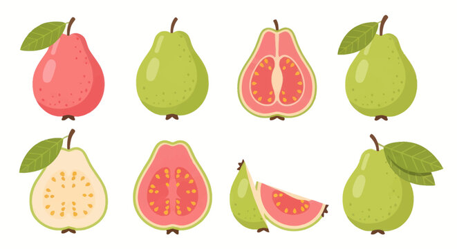 Fresh guava fruit set illustration