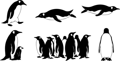 Penguin Silhouette Bundle – Antarctic Bird and Colony Vector Set with Swimming Poses © Tubaart70