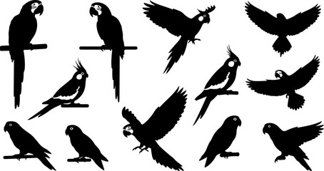 Parrot Silhouette Bundle – Tropical Bird Collection with Macaw and Cockatoo Vector Set © Tubaart70