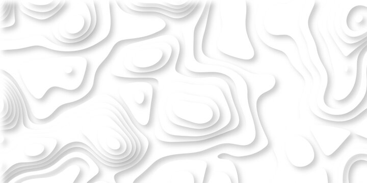 paper cut 3d render topography abstract, beautiful white Background. geometric map relief texture with curved layers and shadow. Realistic papercut decoration textured with wavy vector design.