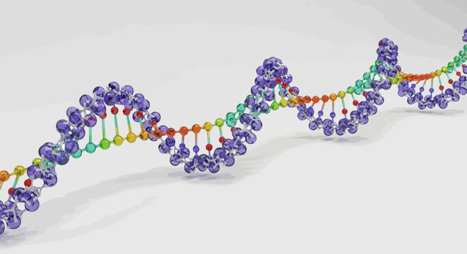 Colorful DNA double helix structure model.