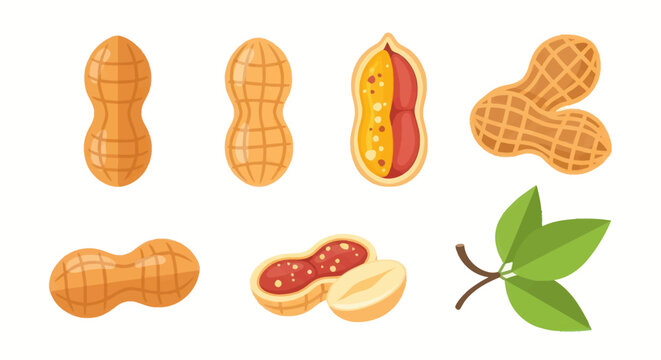 Illustrated peanuts and green leaves
